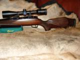 OUTSTANDING GORGEOUS RARE SAUER MODEL 80 STUTZEN FULL STOCK CARBINE BOLT ACTION RIFLE .243 WIN CALIBER - MINTY CONDITION - 7 of 12