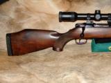 OUTSTANDING GORGEOUS RARE SAUER MODEL 80 STUTZEN FULL STOCK CARBINE BOLT ACTION RIFLE .243 WIN CALIBER - MINTY CONDITION - 3 of 12