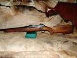 GORGEOUS RH SAUER 200 LUX RARE 243 WIN WITH OUTSTANDING WOOD - MINTY - 8 of 12