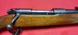 Winchester Model 70 Standard Rifle - 257 Roberts Caliber - 7 of 15