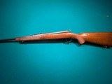 Winchester Model 70 - 1 of 9