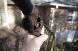 Battle of Atlanta Remington Revolver, Artifact/Relic - 3 of 3