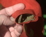 WW 1 U S Army Artillery Unit Flag Swallowtail - 3 of 4