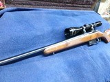 CZ 527 varmint 204 ruger - 5 of 5