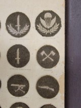 WW11 Canadian Royal 22 Regiment Complete Insignia Collection 75 Pieces - 4 of 5