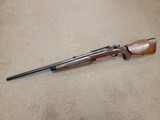 US Springfield 1903 MK1 Custom 244 Remington - 8 of 20