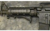 Bushmaster ~ XM15-E2S ~ 5.56x45mm NATO - 7 of 10