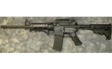 Bushmaster ~ XM15-E2S ~ 5.56x45mm NATO - 10 of 10