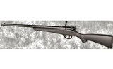 Savage ~ Rascal ~ 22 Long Rifle - 2 of 2