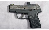 Ruger ~ Max 9 ~ 9mm Luger - 2 of 4 Ruger ~ Max 9 ~ 9mm Luger - 2 of 4