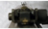 WINCHESTER ~ US CARBINE ~ .30 CARBINE - 9 of 16