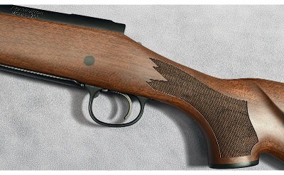 REMINGTON ~ 700 ~ .30-06 SPRINGFIELD - Image 8 of 10