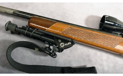 SAKO - L61R - .30 - 06 Springfield - Image 10 of 12