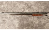 Winchester~Model 90 (1890)~22WRF - 7 of 10
