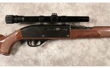 Remington~Nylon 66 Mohawk~22 LR - 3 of 10