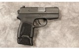 Sig Sauer~model 290~9 mm - 1 of 3