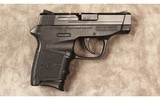 Smith & Wesson~BG380~380 ACP - 1 of 2