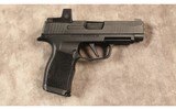 Sig Sauer~P365XL-BXR3~9 MM - 1 of 2