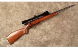 Remington~581~22 LR - 1 of 10