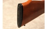 Remington~581~22 LR - 9 of 10