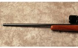 Remington~581~22 LR - 7 of 10