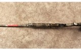Benelli~SBE3~12 gauge - 10 of 10