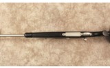 Remington~700~375 H&H Magnum - 10 of 10