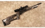 Ruger~10/22 Target~22 LR - 1 of 10