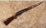 Remington~66~22 Long Rifle - 1 of 10
