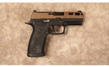 Sig Sauer~P320 AXG~9 MM - 1 of 2