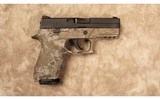 Sig Sauer~P250~9 MM - 1 of 2