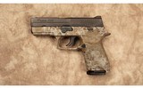 Sig Sauer~P250~9 MM - 2 of 2