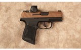 Sig Sauer~P365~9 MM - 1 of 2