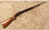 Remington~121~22 Long Rifle - 1 of 10