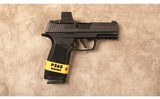 Sig Sauer~P365x~9 MM - 1 of 2