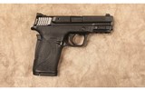 Smith & Wesson~M&P 380 Shield EZ~380 ACP