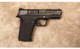 Smith & Wesson~M&P9 Shield EZ~9 MM