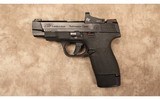 Smith & Wesson~M&P9 Shield Plus - 2 of 2