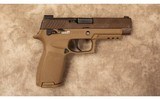 Sig Sauer~M17 P320~9 MM