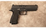 Sig Sauer P320 X10 10 mm pistol in factory box with 2 magazines in excellent condition - 1 of 2