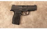 Sig Sauer~P365XL~9 MM - 1 of 2