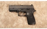 Sig Sauer~P320~9 MM - 2 of 2