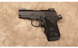Kimber~Micro9 Nightfall~9 mm - 2 of 2
