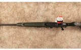 Savage~Axis~243 Winchester - 10 of 10
