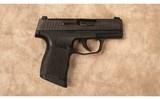 Sig Sauer~P365-380~380 ACP - 1 of 2