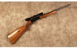Browning~SA-22~22 Long Rifle - 1 of 10