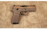 Sig Sauer - 1 of 2
