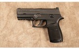Sig Sauer~p250~40 S&W - 2 of 2
