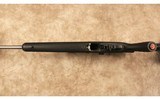 Ruger~10/22~22 Long Rifle - 10 of 10