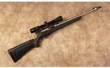 Ruger~10/22~22 Long Rifle - 1 of 10